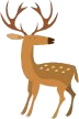Logo_Chasse2.png